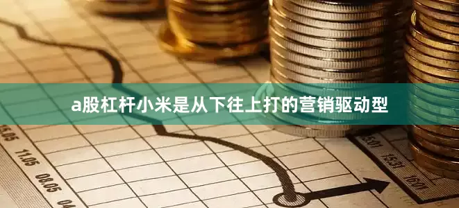 a股杠杆小米是从下往上打的营销驱动型