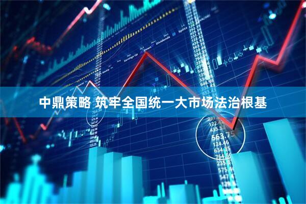 中鼎策略 筑牢全国统一大市场法治根基