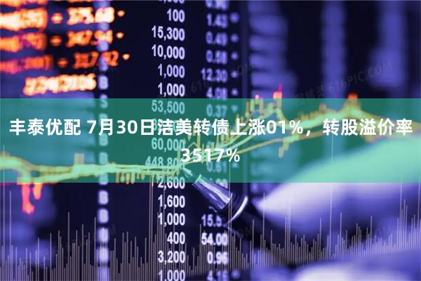 丰泰优配 7月30日洁美转债上涨01%，转股溢价率3517%