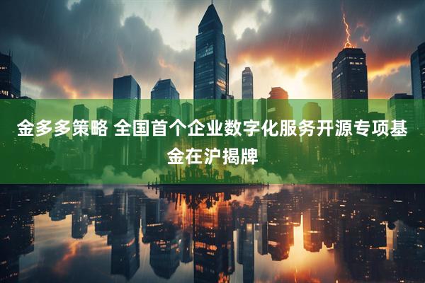 金多多策略 全国首个企业数字化服务开源专项基金在沪揭牌