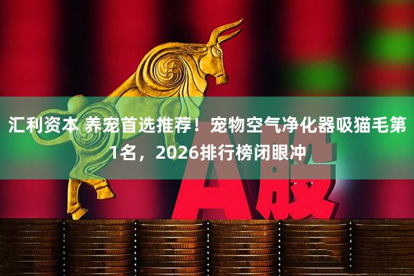汇利资本 养宠首选推荐！宠物空气净化器吸猫毛第1名，2026排行榜闭眼冲