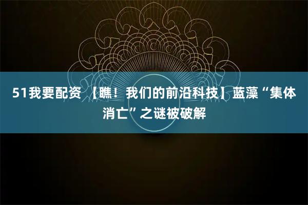 51我要配资 【瞧！我们的前沿科技】蓝藻“集体消亡”之谜被破解